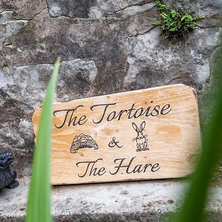 Lejlighed Retreat - Work Or Friendly